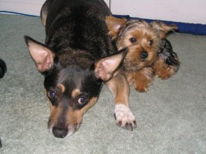 224597_4280176385_5419_n