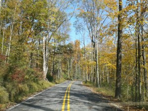 302663_10151055928696386_636586828_n