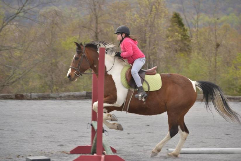 11050863_10152699278116386_5825470595940595810_n