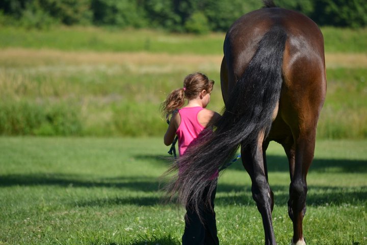 264760_10150225673981386_6724370_n