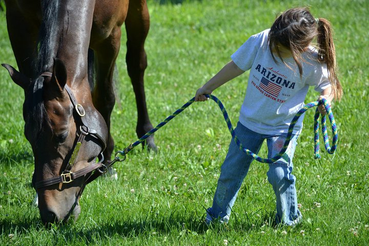 268301_10150225673681386_3726230_n